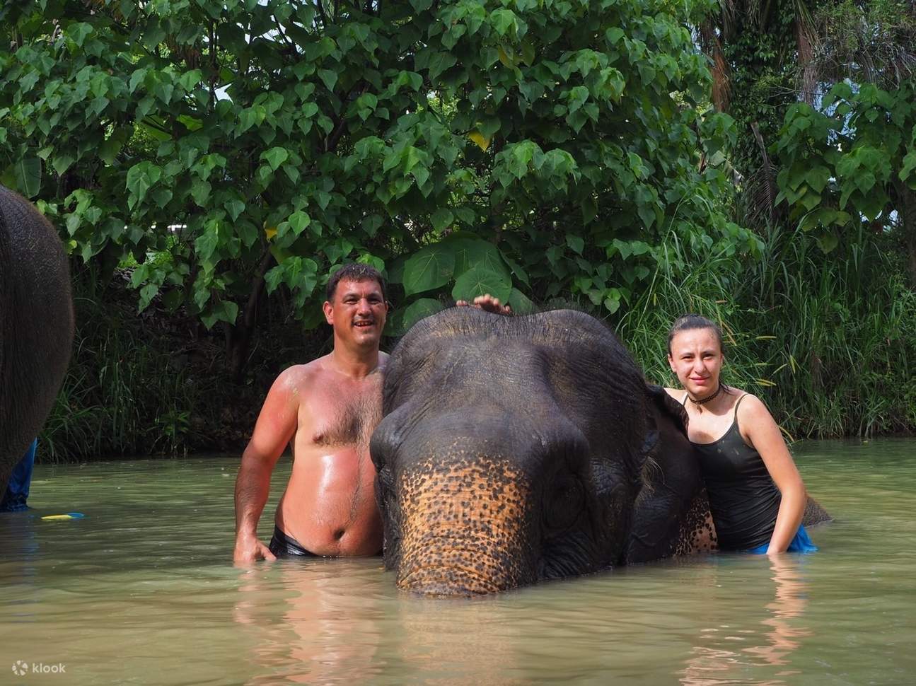 orang-orang mandi bersama seekor gajah