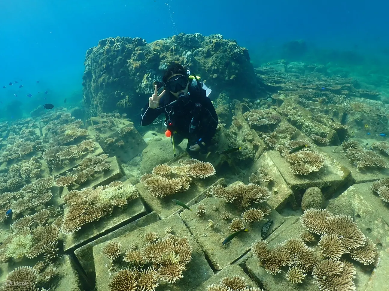 Undersea Mailbox Diving