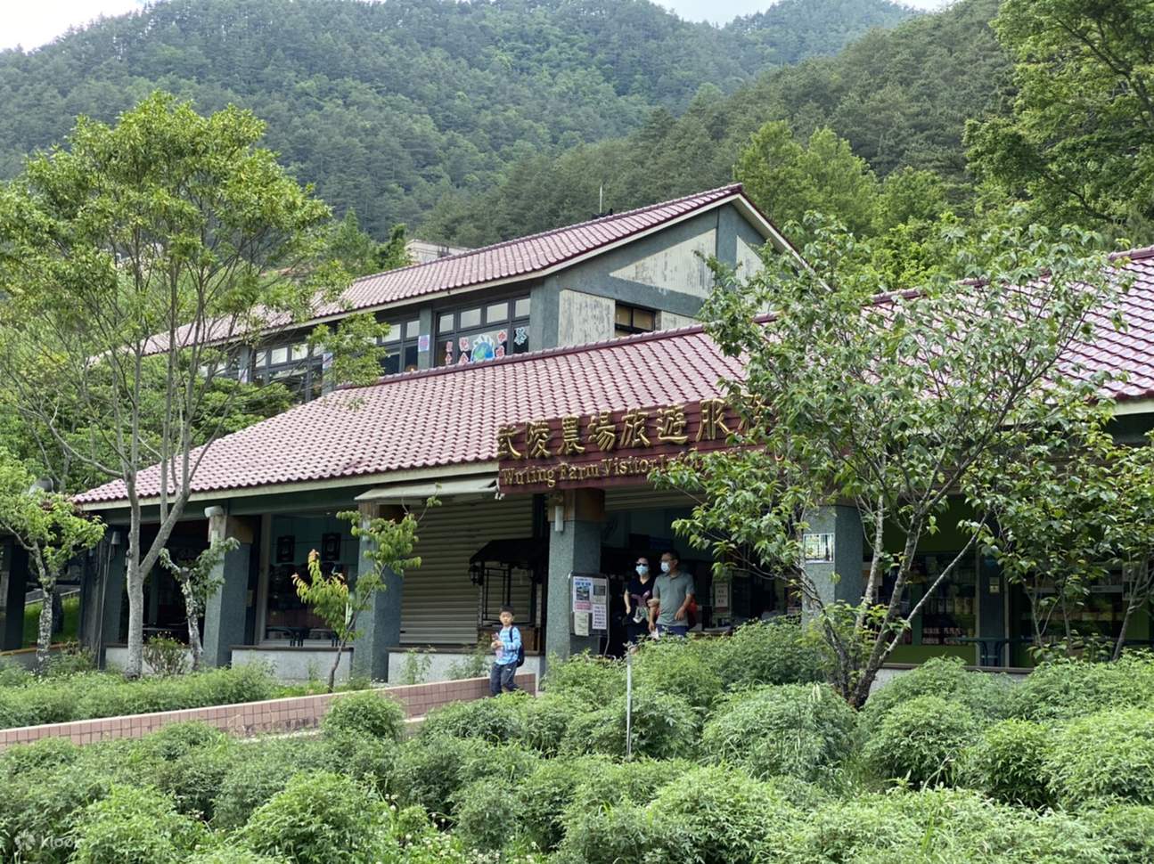 Wuling Farm Taichung: Tagestour zur Wuling Farm (ab Taipeh) - Klook, Vereinigte Staaten
