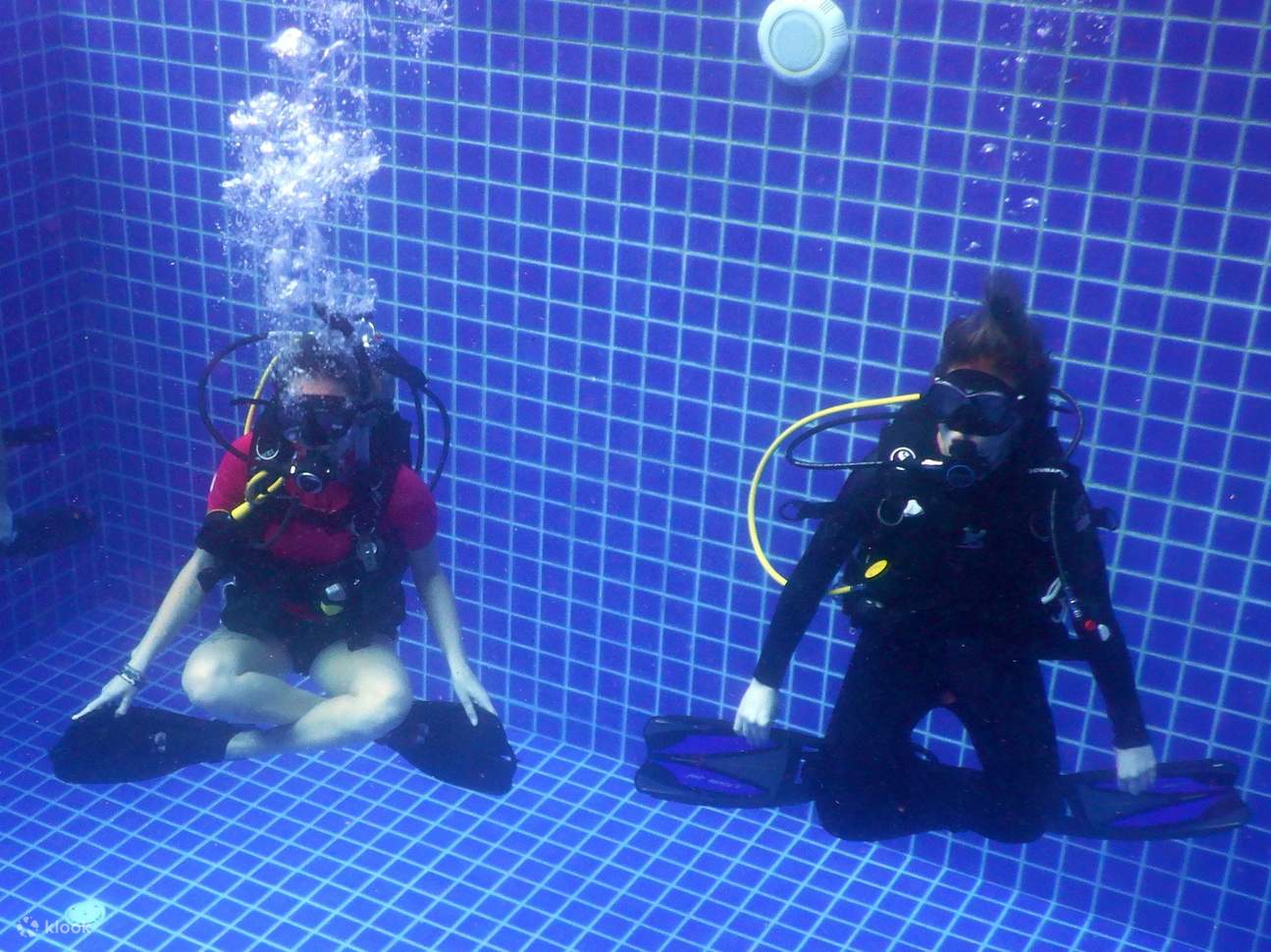 PADI Open Water Diver [eLearning]