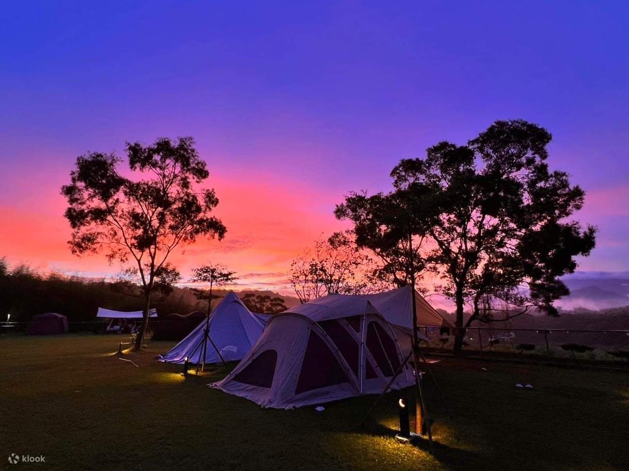 苗栗露營：自由之丘露營地