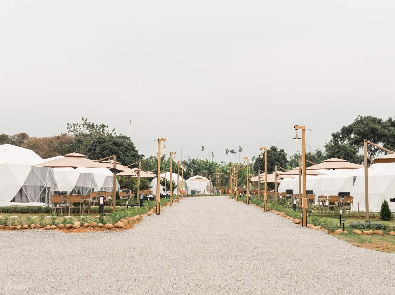 嘉義：歸樸森活豪華露營