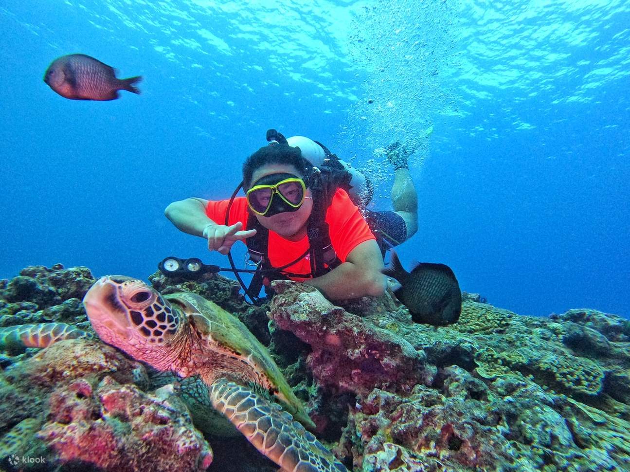 小琉球｜体验潜水｜一对一免证照｜赠防疫吸嘴