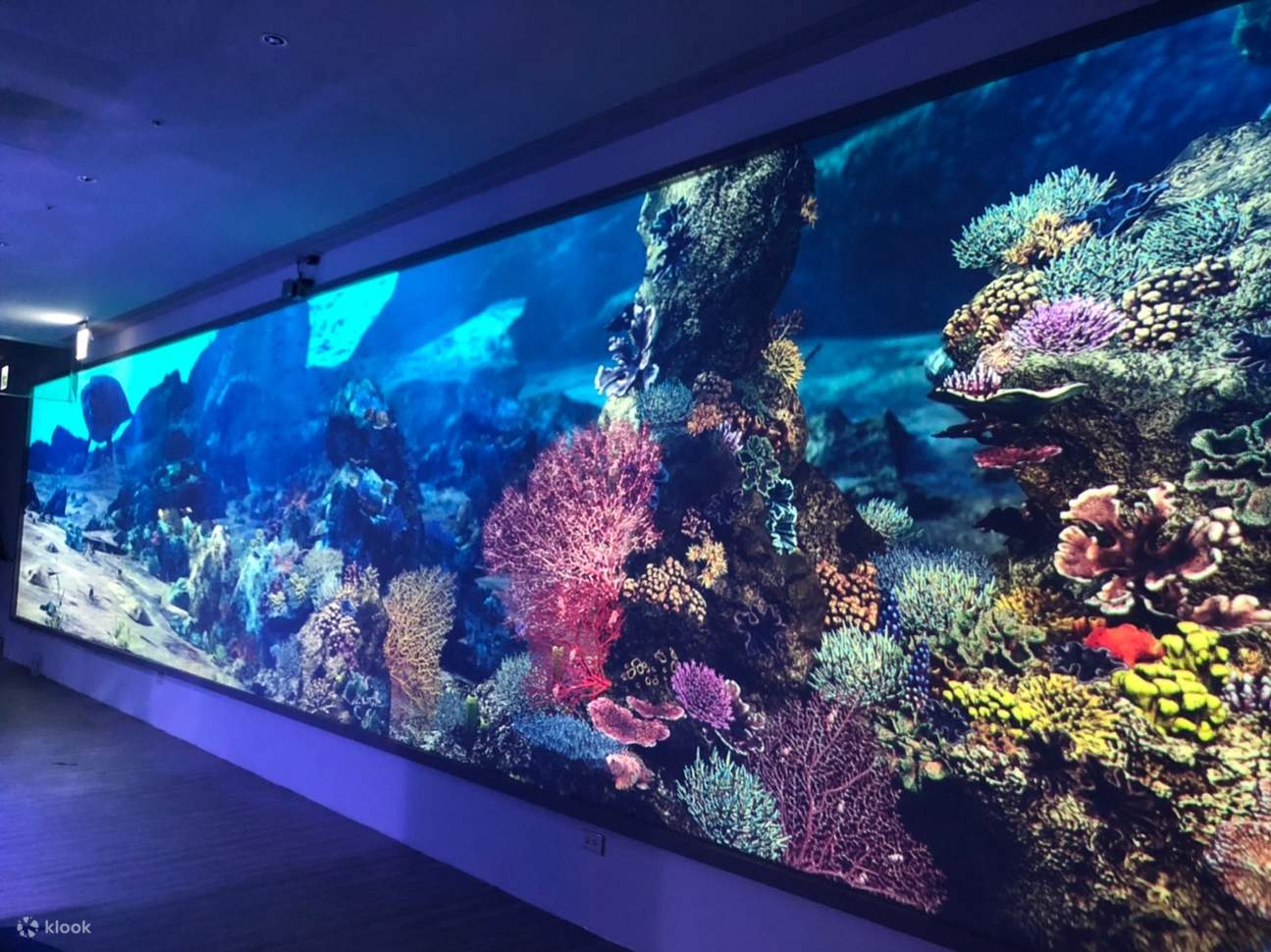 Acuario Inteligente Oceánico de Chaojing