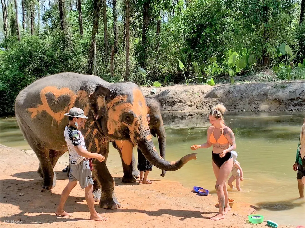 Khao Lak Safari│大象保护区互动