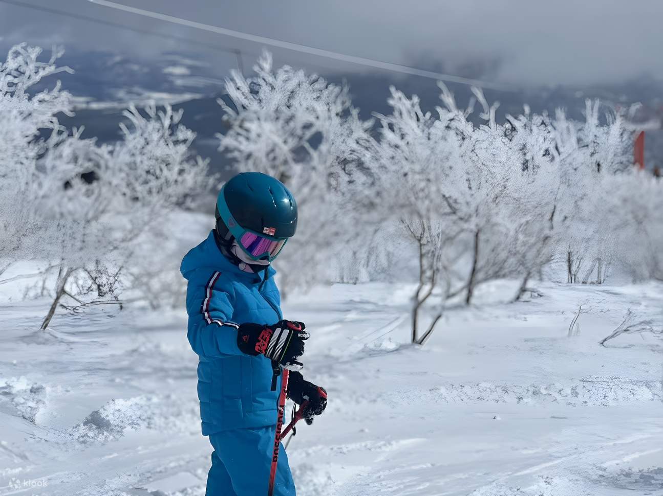 二世谷滑雪或滑雪板私人課程（成人／兒童）