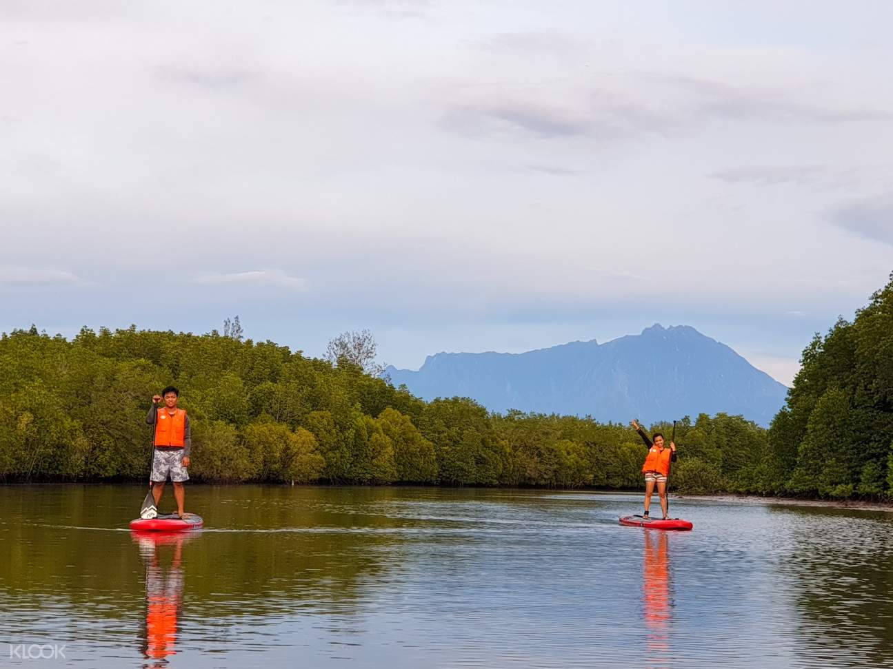 Mangrove Stand Up Paddle Boarding Safari in Borneo Klook Malaysia