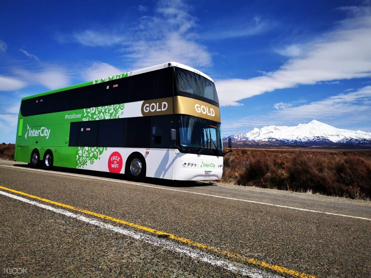 bus tours new zealand north island