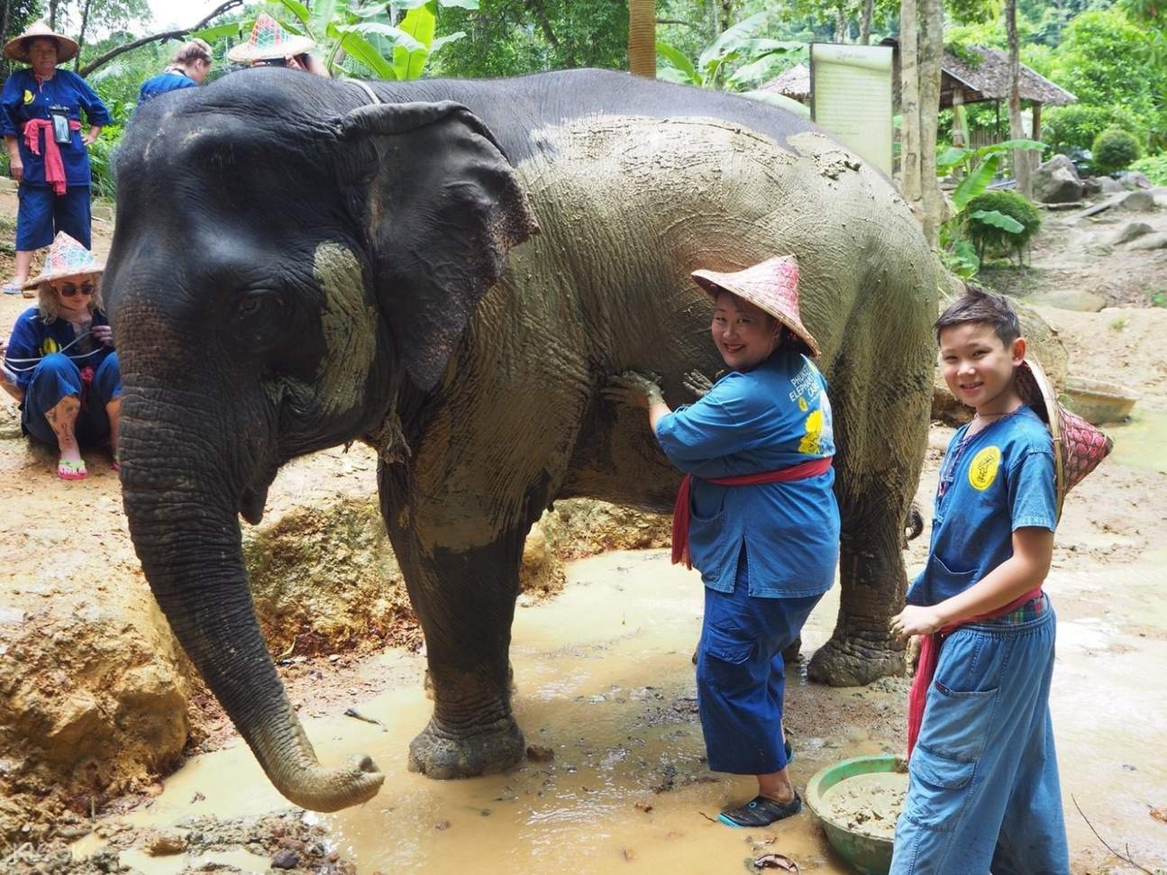 [SALE] Elephant Care Experience by Anda Adventure Ticket KD