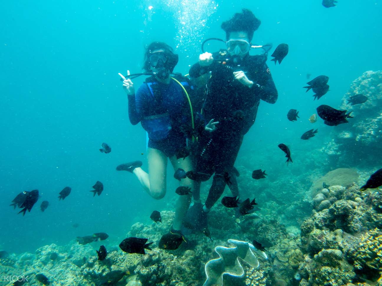 Bauan Island Hopping Tour with Diving in Batangas Klook New Zealand