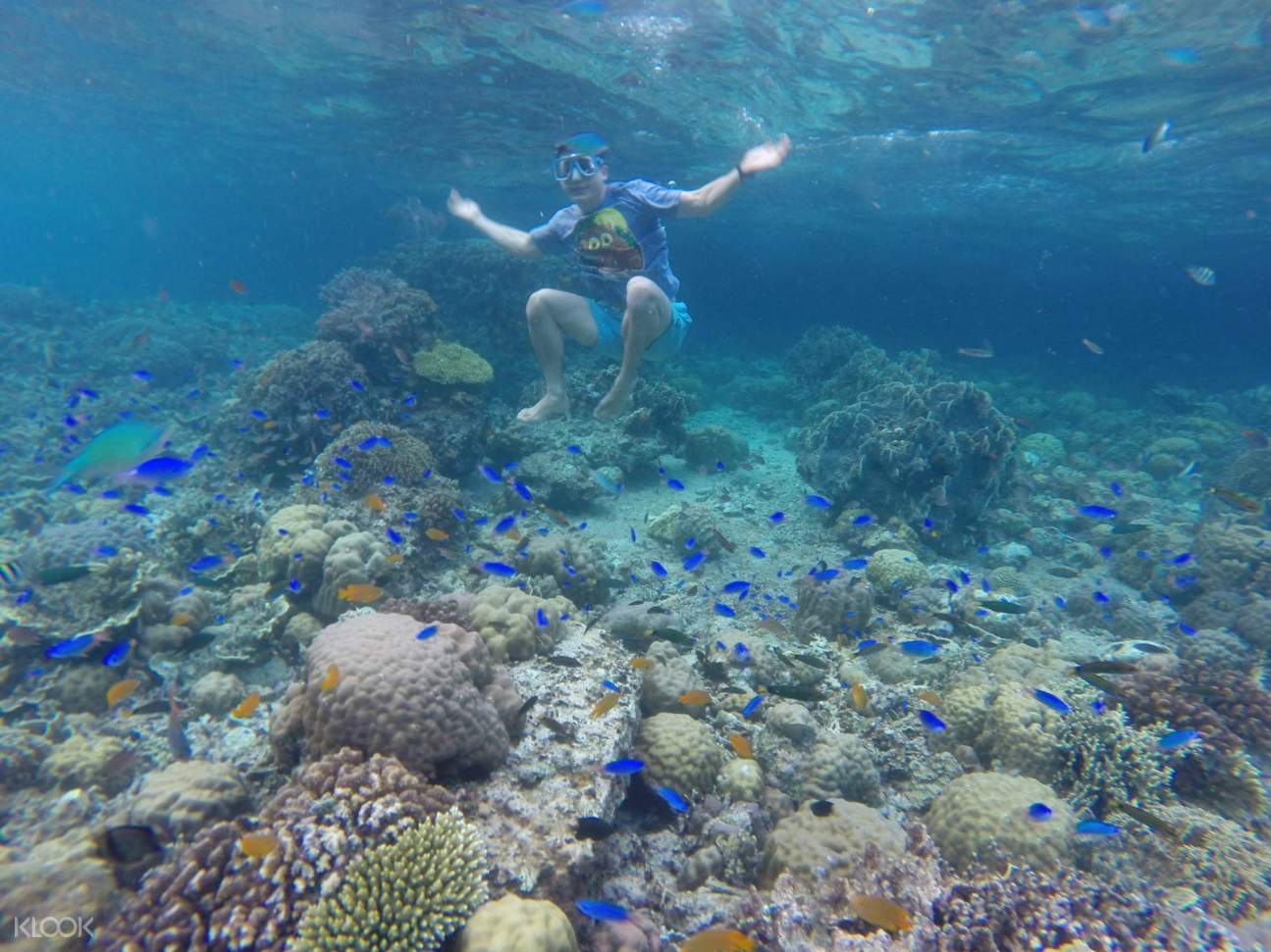 Pescador Island Snorkeling Join In Day Tour from Cebu, Philippines