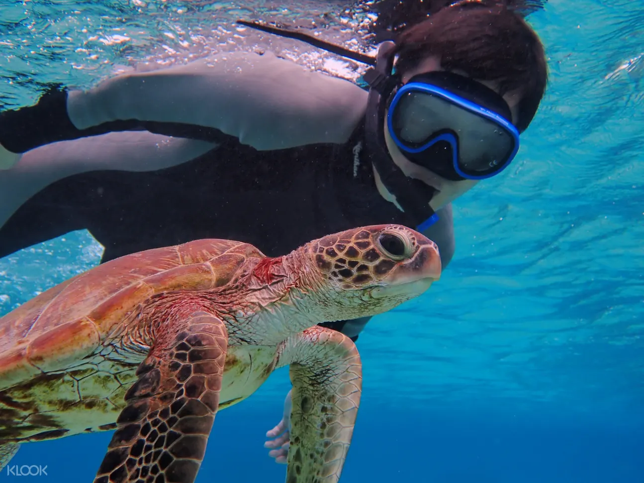 Sea Turtle Snorkeling and Pumpkin Limestone Caving Experience in