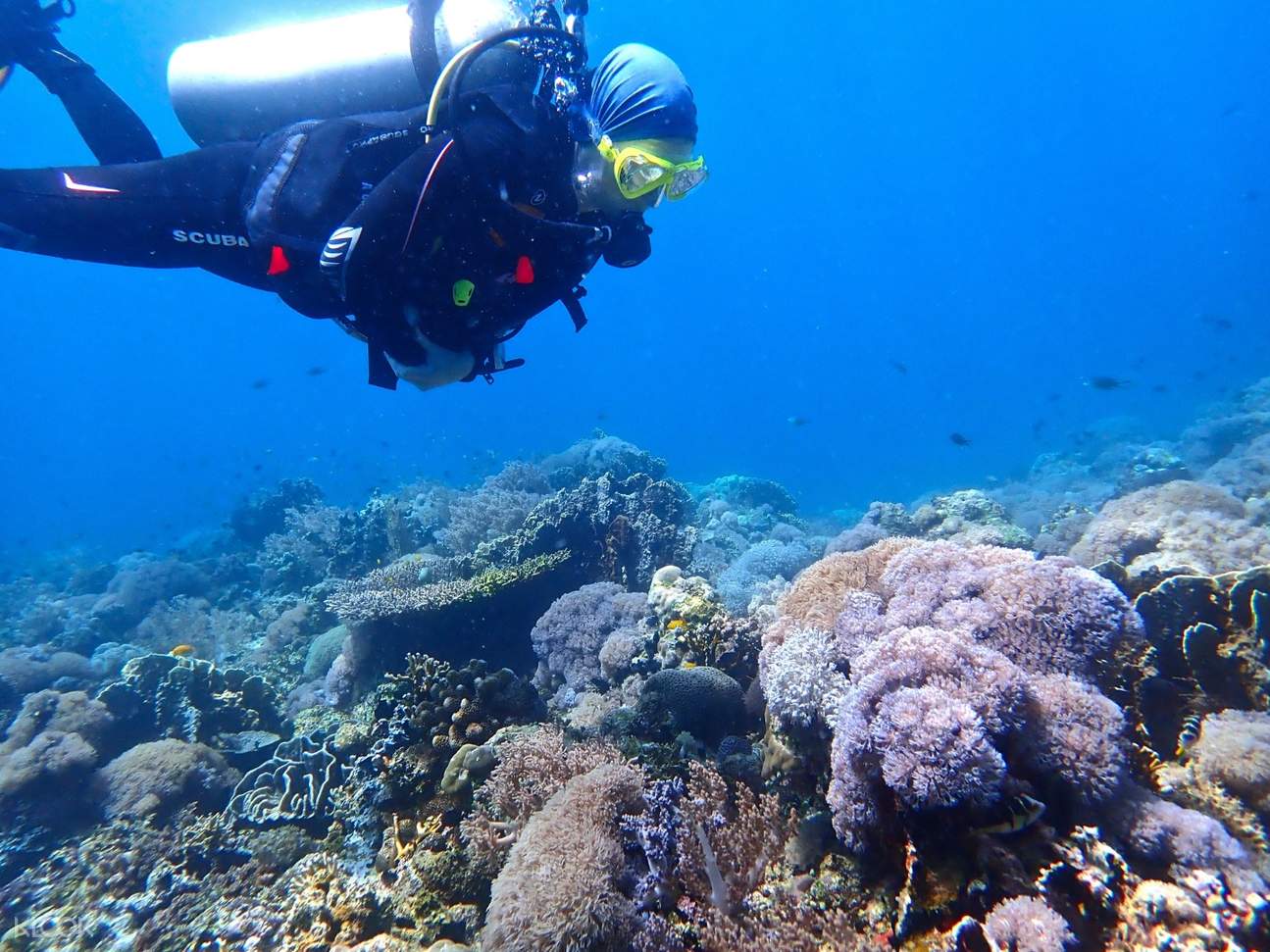 Up to 10 Off Introduction to Scuba Diving in Mactan Cebu