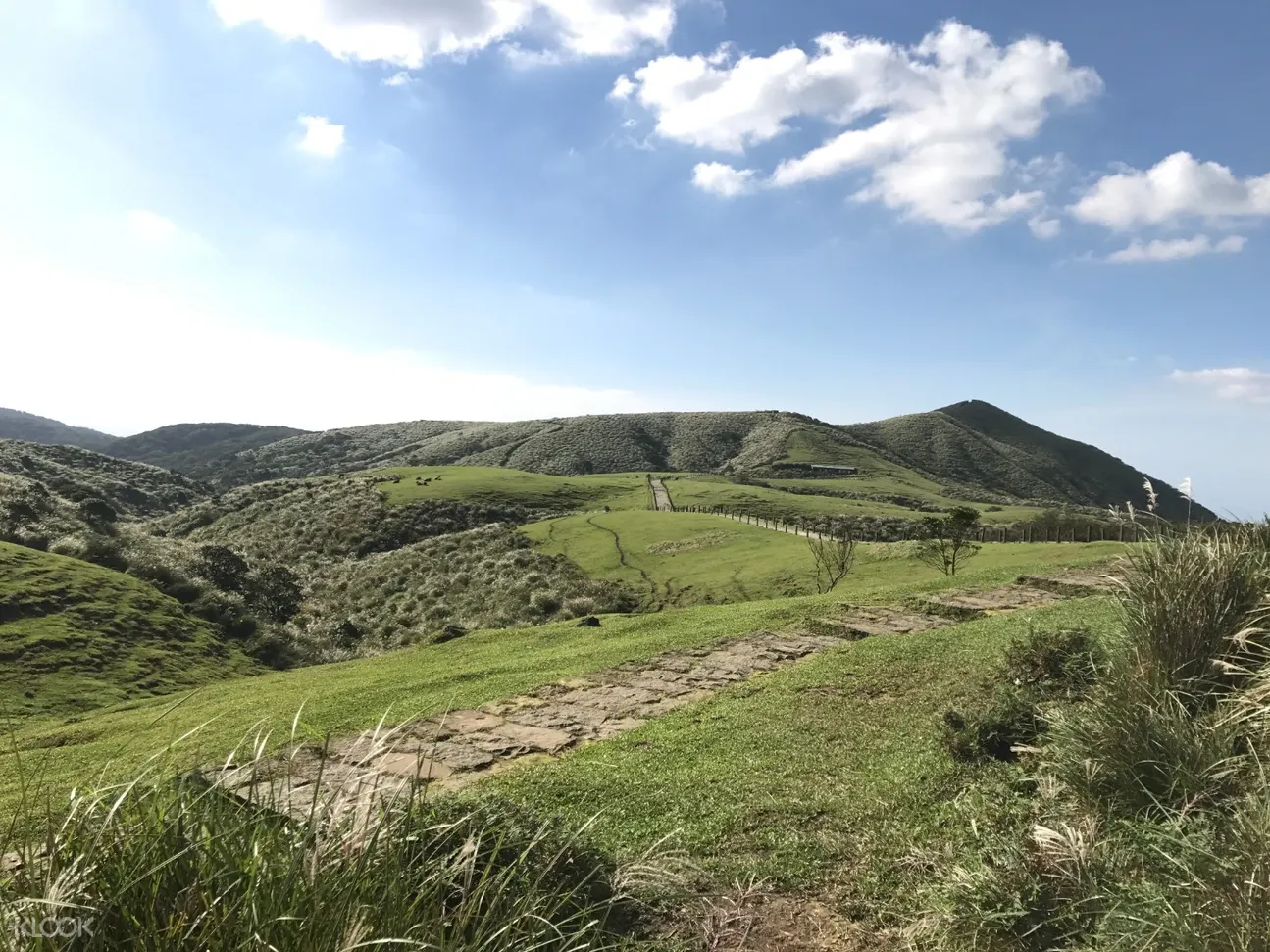 陽明山一日遊,北投一日遊,陽明山導覽