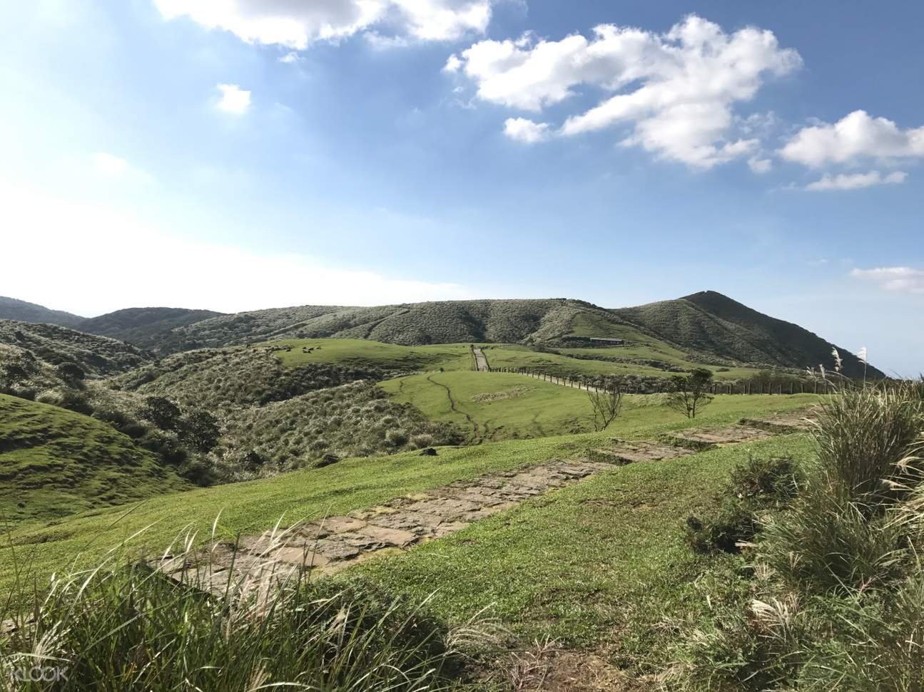 Up to 10% Off | Beitou and Yangmingshan Day Tour, Taipei ...