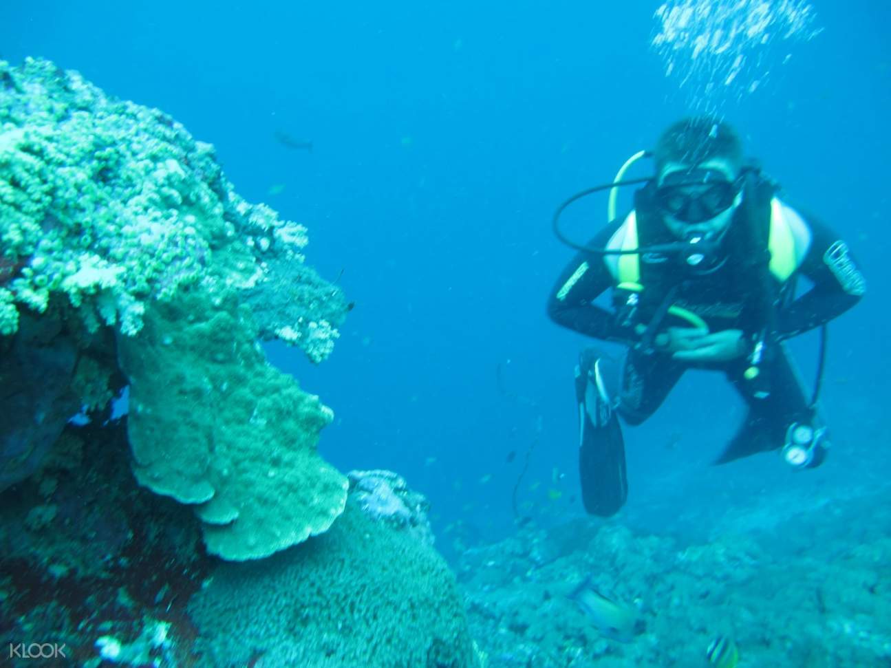 Up to 10 Off Scuba Diving Experience in Nusa Penida, Indonesia Klook India