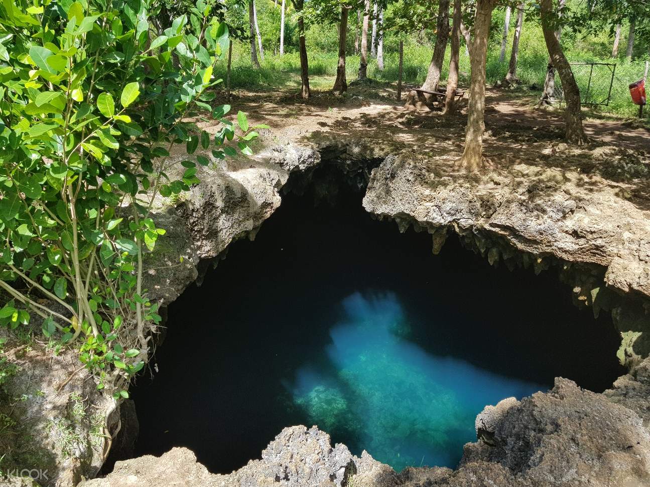 Anda Beach Cabagnow Cave And Candijay Private Tour In Bohol