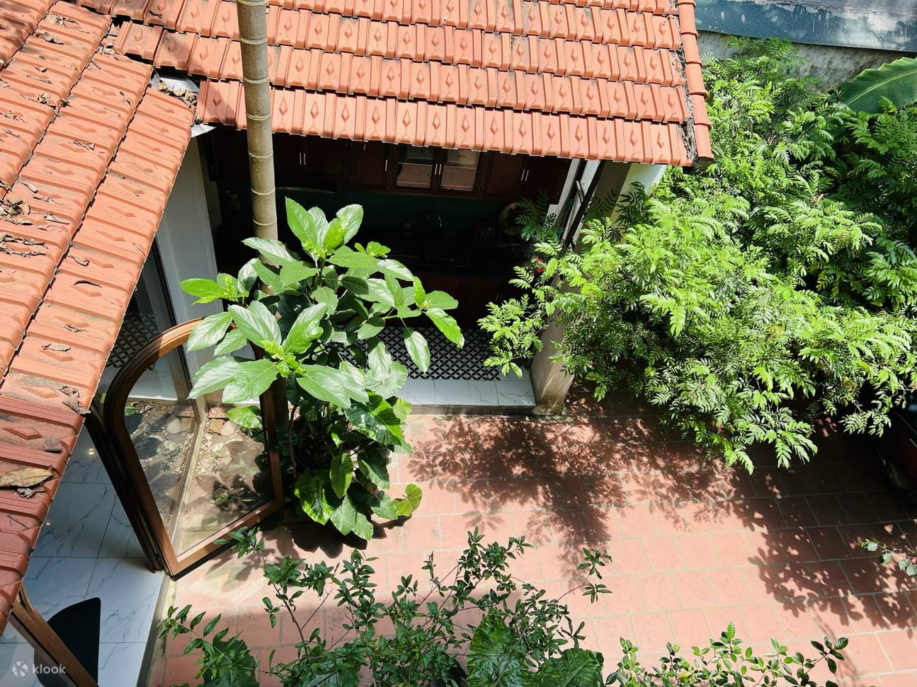 Clase de cocina Rose Kitchen con tour al mercado local en Hanói