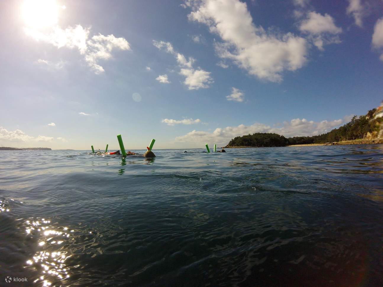 Сноркелинг на Шелли-Бич, Мэнли