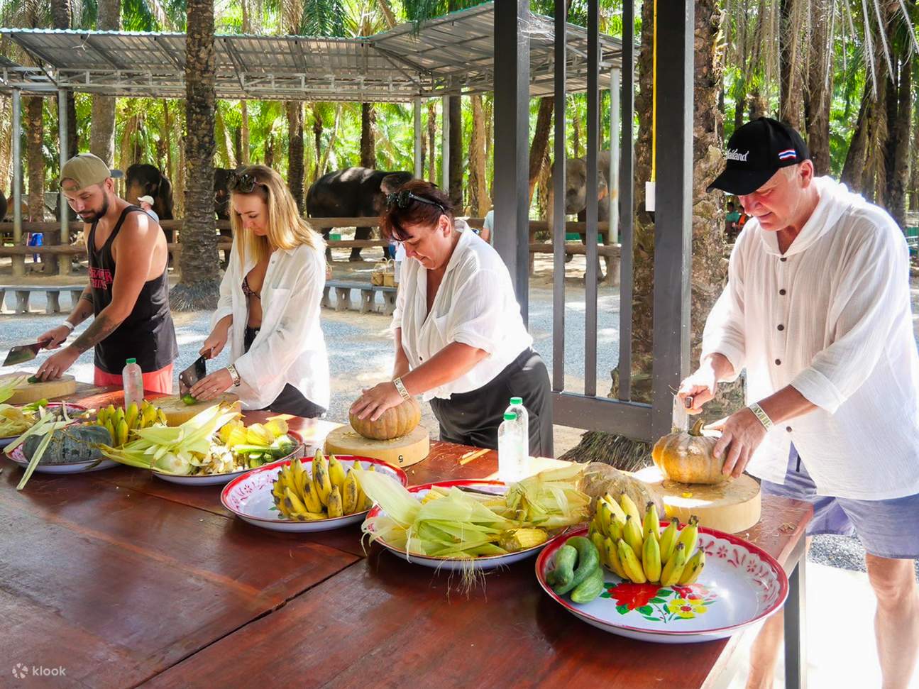 Krabi Elephant Shelter Experience