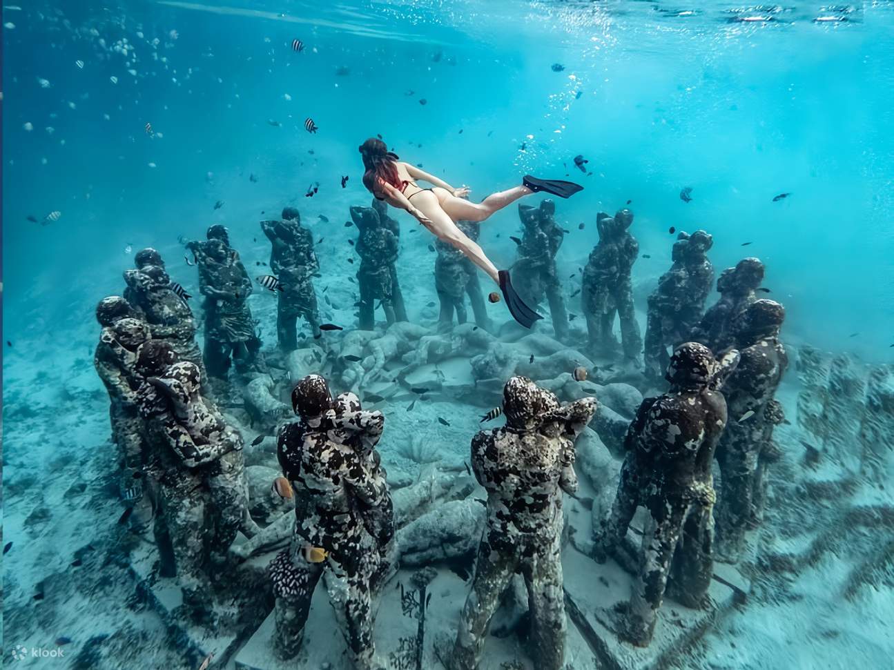 Gili Meno Underwater - Nest Statuta 