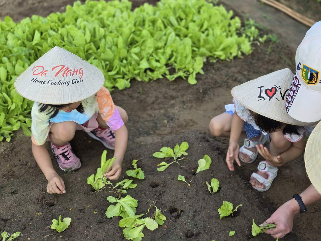 Lớp Nấu Ăn tại Đà Nẵng