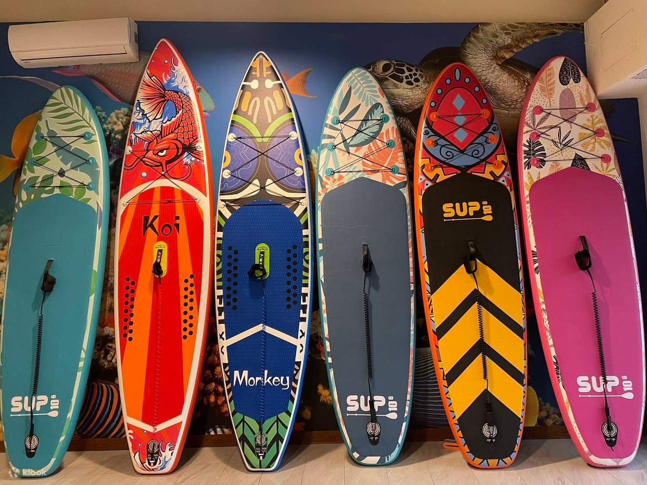 369 Kedai Snorkeling - Pengalaman Xiaoliuqiu SUP