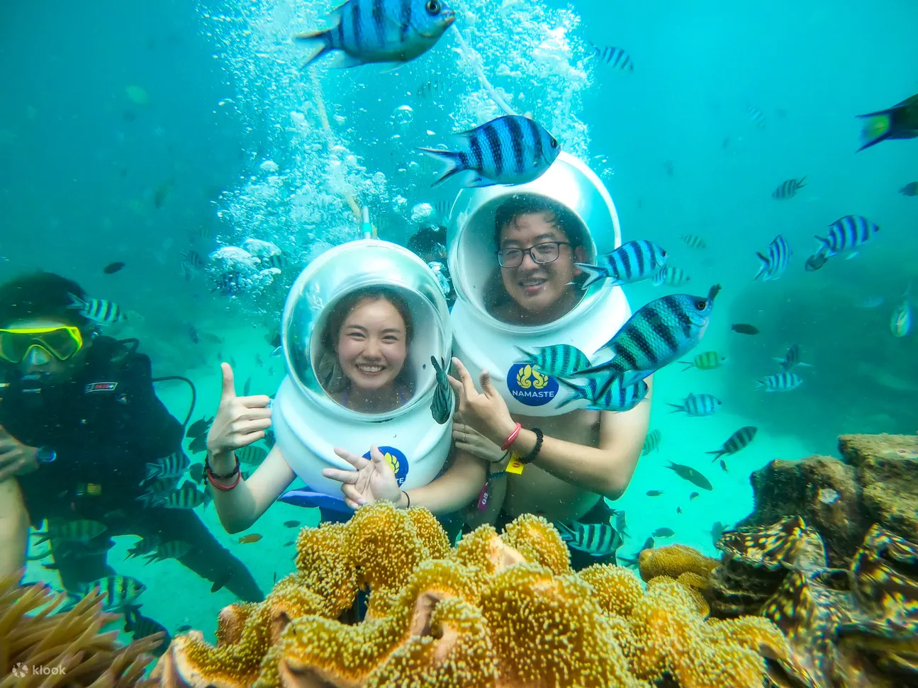 Sea Waking at Nautilus Namaste