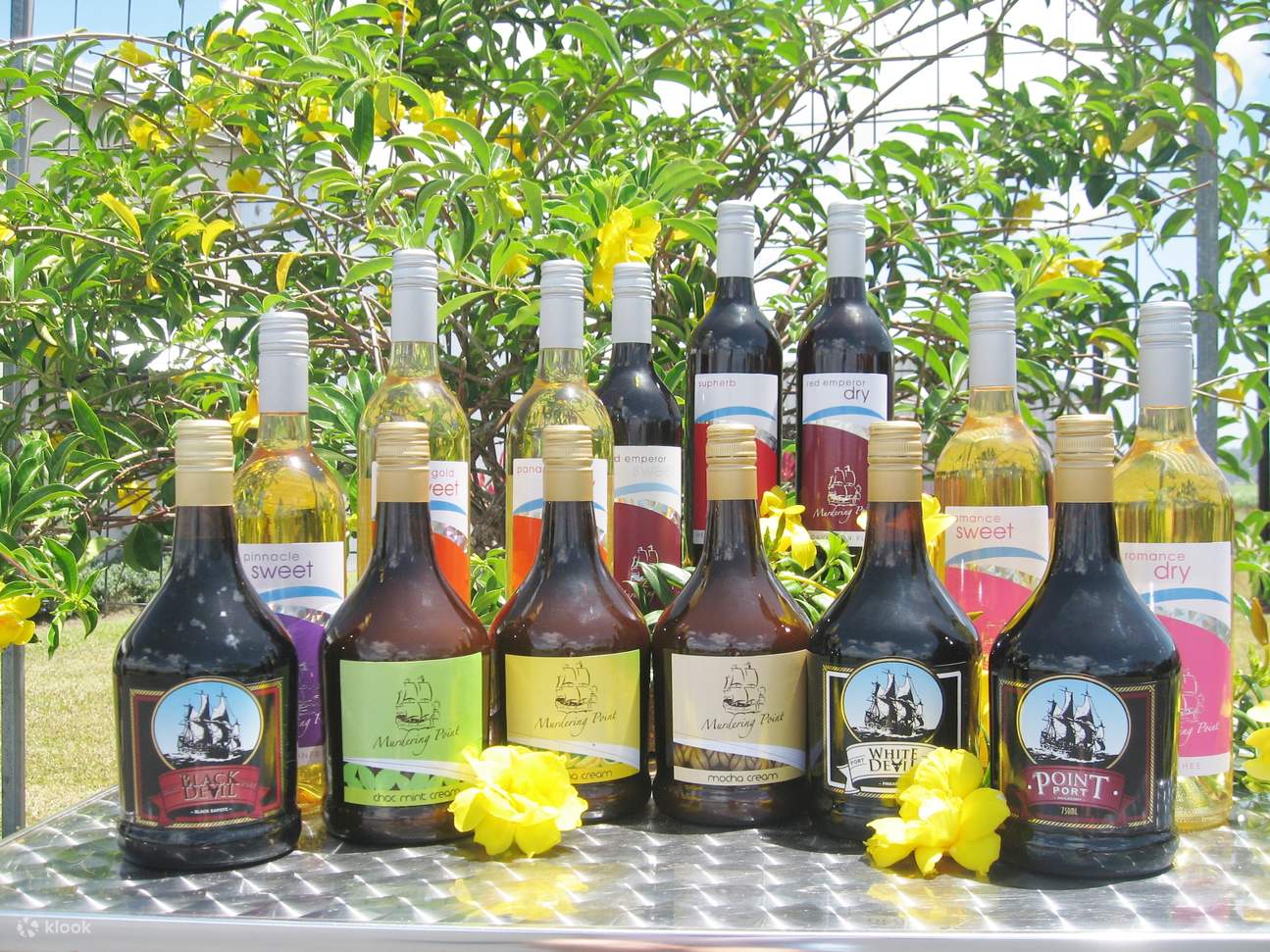 ไซเดอร์แก้วมังกร