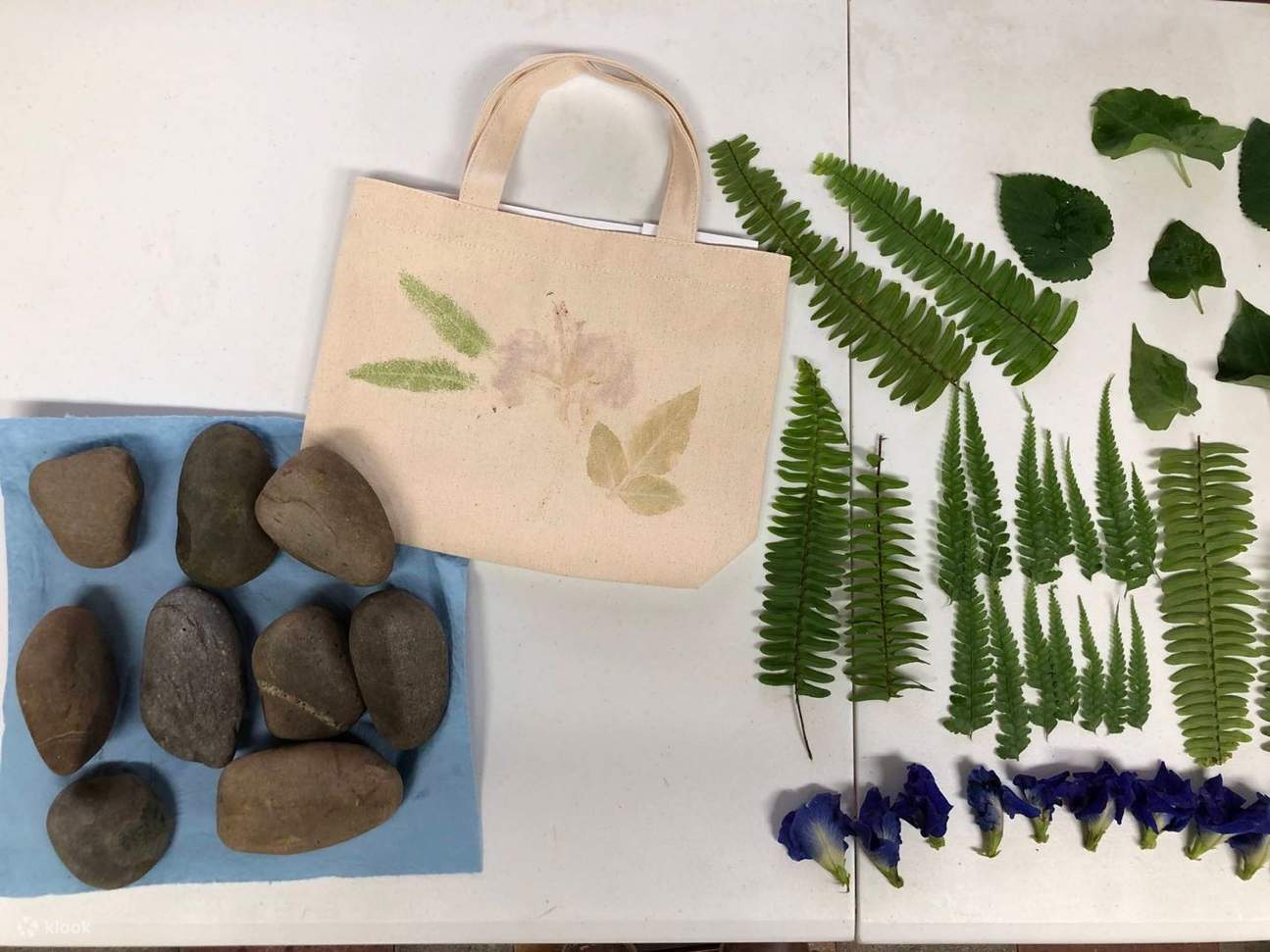 Đào Viên Đại Khê｜Khu Giáo Dục Môi Trường Khê Châu｜Hướng dẫn và trải nghiệm thực tế tại hồ lắng