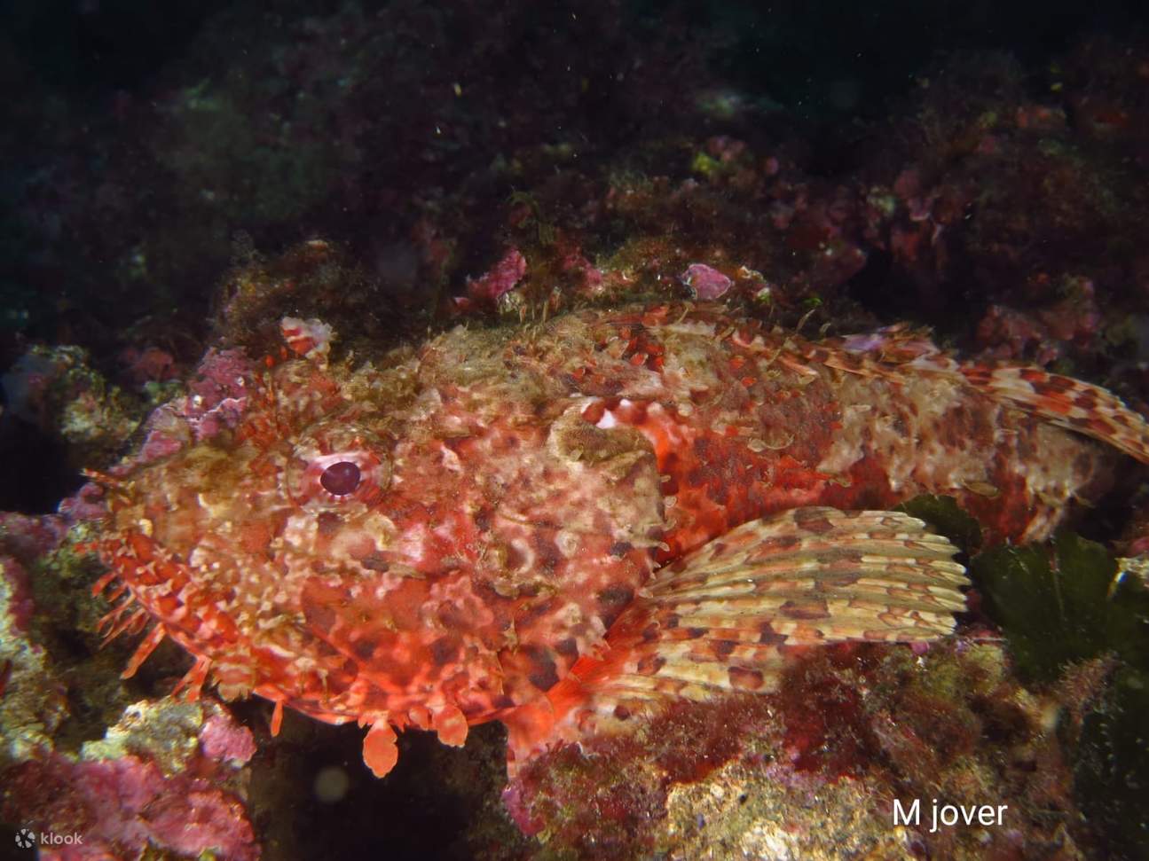 PADI Advanced Open Water Diver in Catalonia with PADI 5 Star IDC Resort