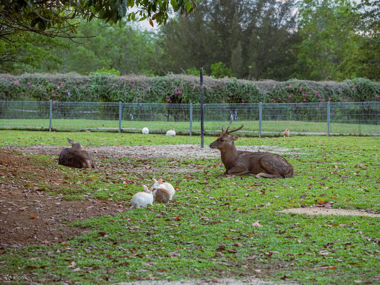 Tiket The Acre by Farm Fresh