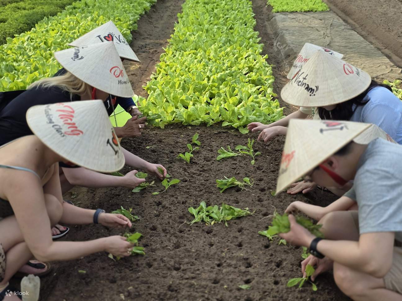 Lớp Nấu Ăn tại Đà Nẵng