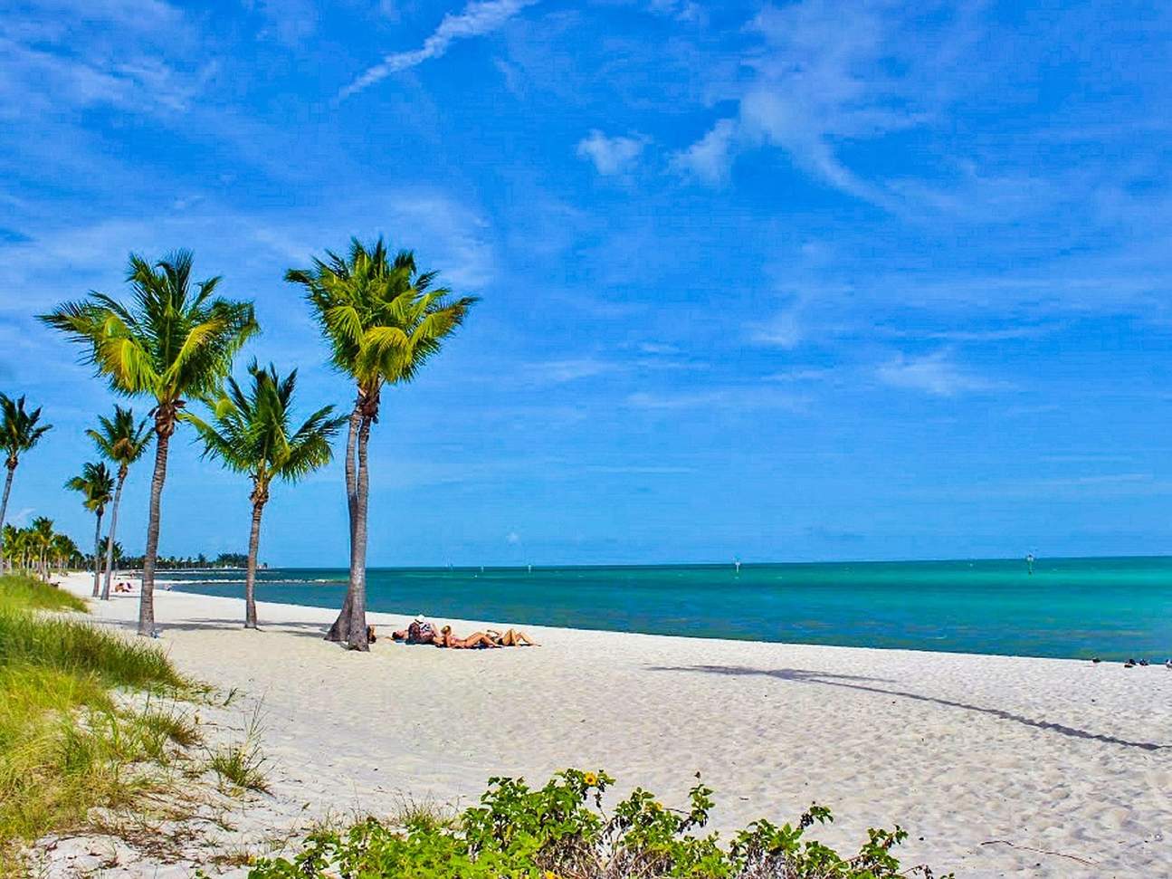 美しいスマザーズ・ビーチの近くでパラセーリングをしながら、息をのむような海の景色をお楽しみください