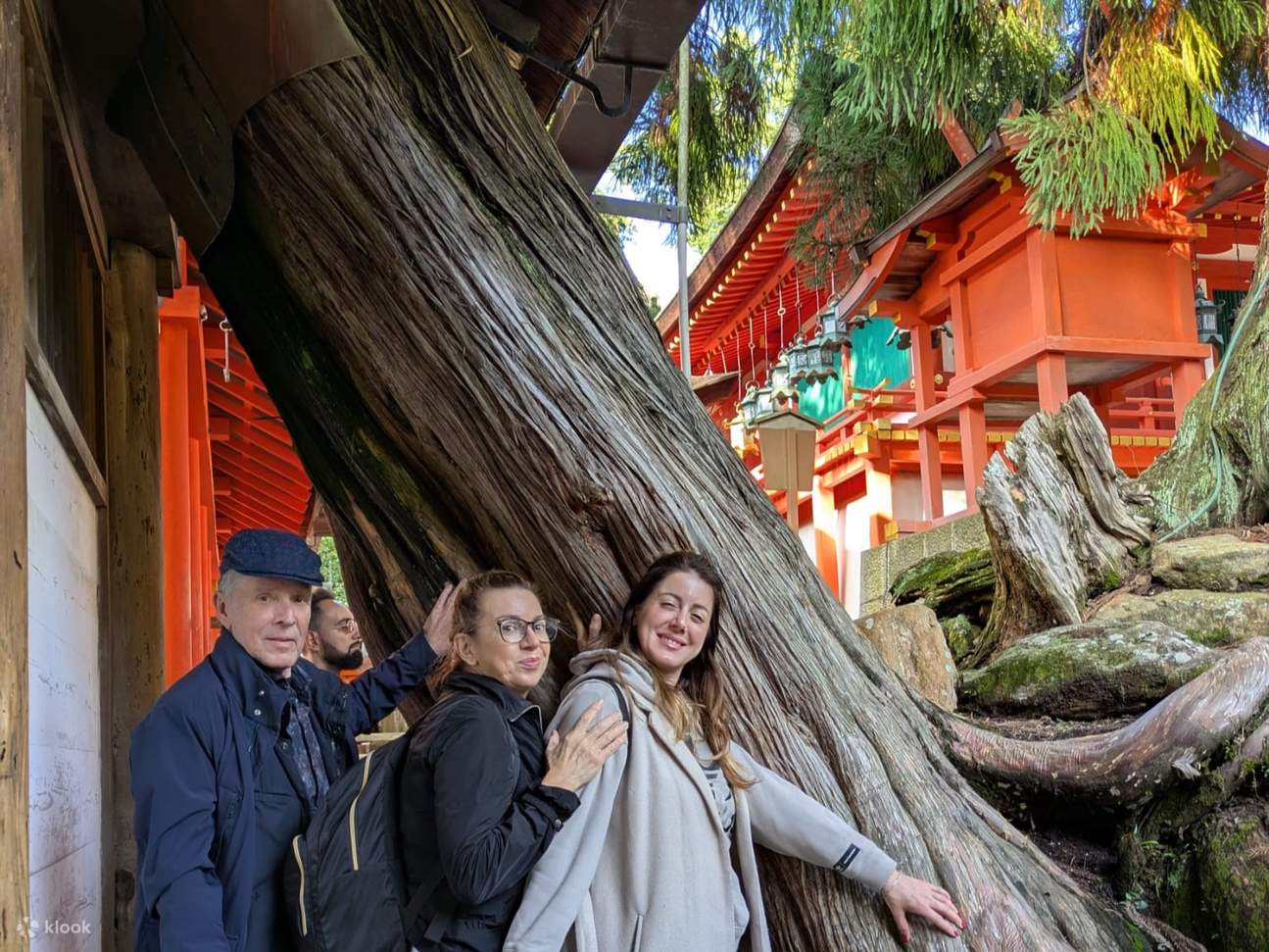 奈良：鹿、大仏、神社を巡る3時間ガイドツアー | Klook
