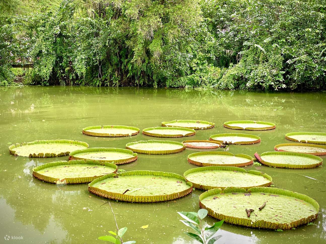 Mekong Delta Adventure Tour Xeo Quyt Historical, Craft Village Klook