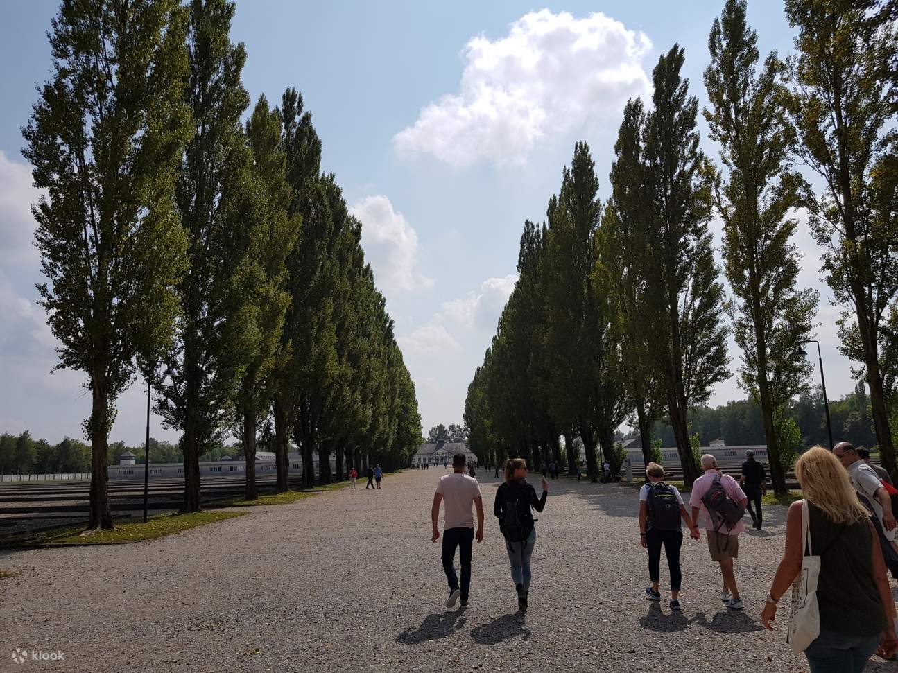 tourists walking on a wide pathway through large trees 