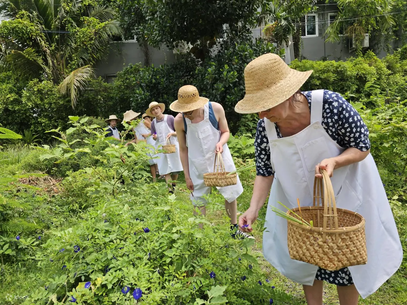 知道如何选择新鲜食材