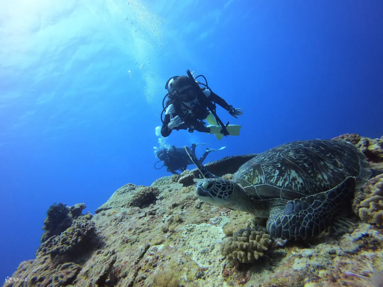 【绿岛潜水证照】蓝莎潜水4天3夜 PADI Open Water 初阶开放水域潜水员课程