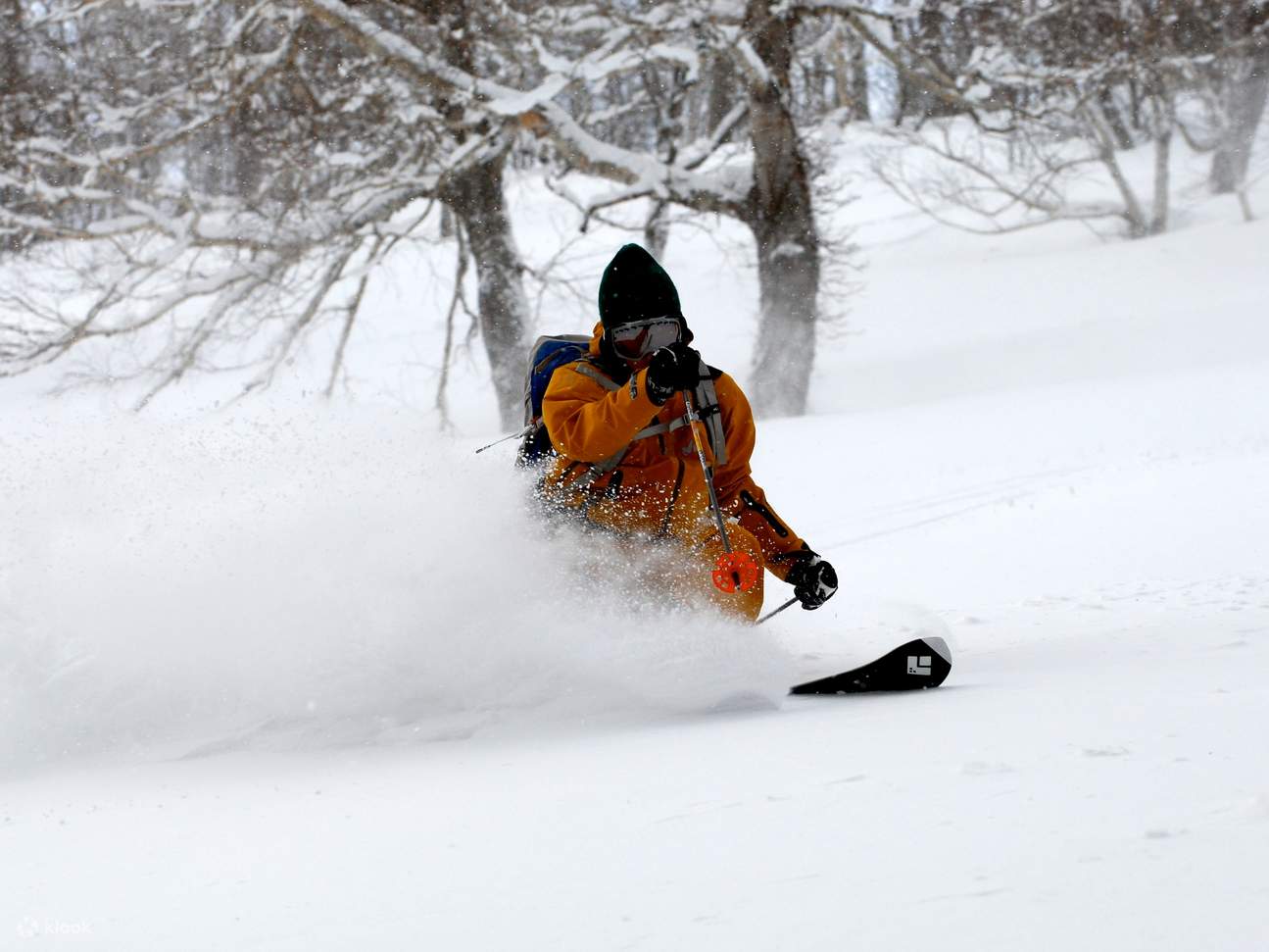 Vé đi cáp treo: Khu nghỉ dưỡng trượt tuyết Niseko (ở Hokkaido)