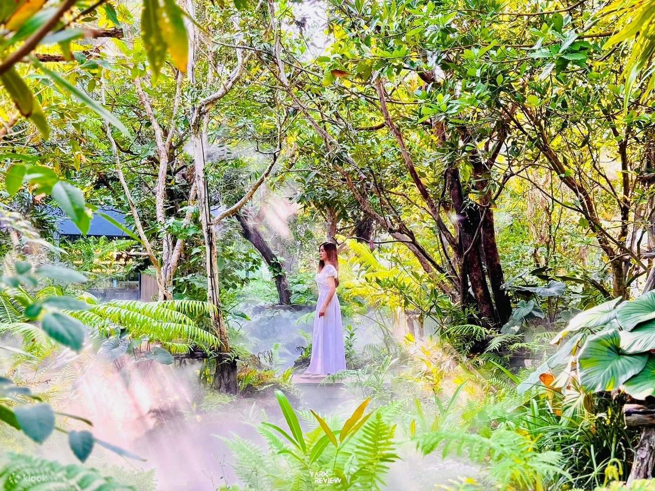 Meet U Cafe In Bangkok IG Cafe With Natural Environment In Bangkok meet-u-cafe-in-bangkok-ig-cafe-with-natural-environment-in-bangkok
