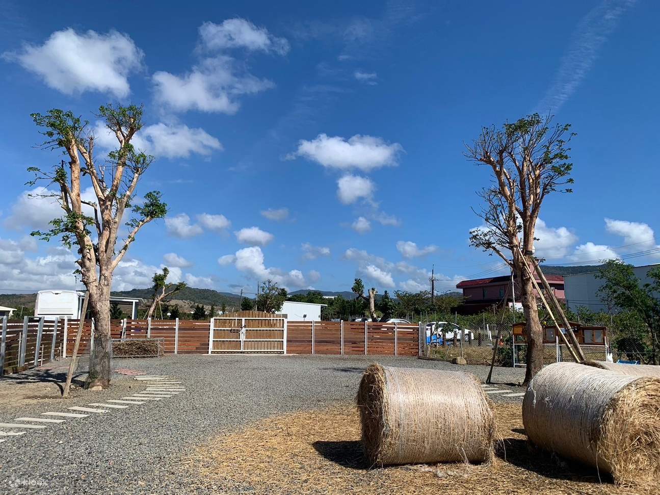 Входной билет в Экологический образовательный парк Кентинг Биг Вулф