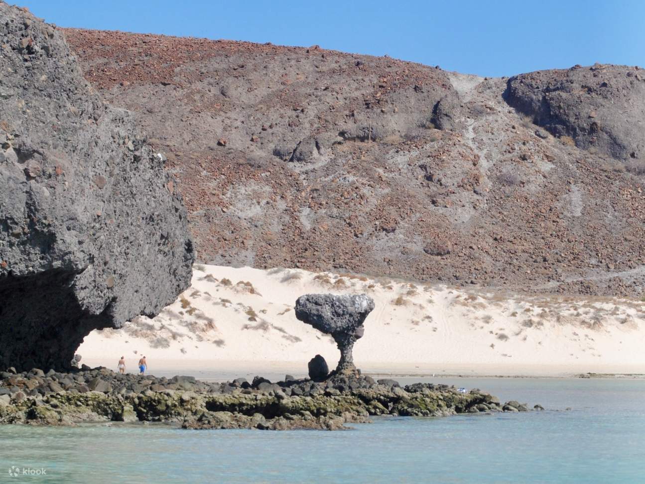Découvrez la beauté naturelle intacte et la faune fascinante du joyau marin du Mexique