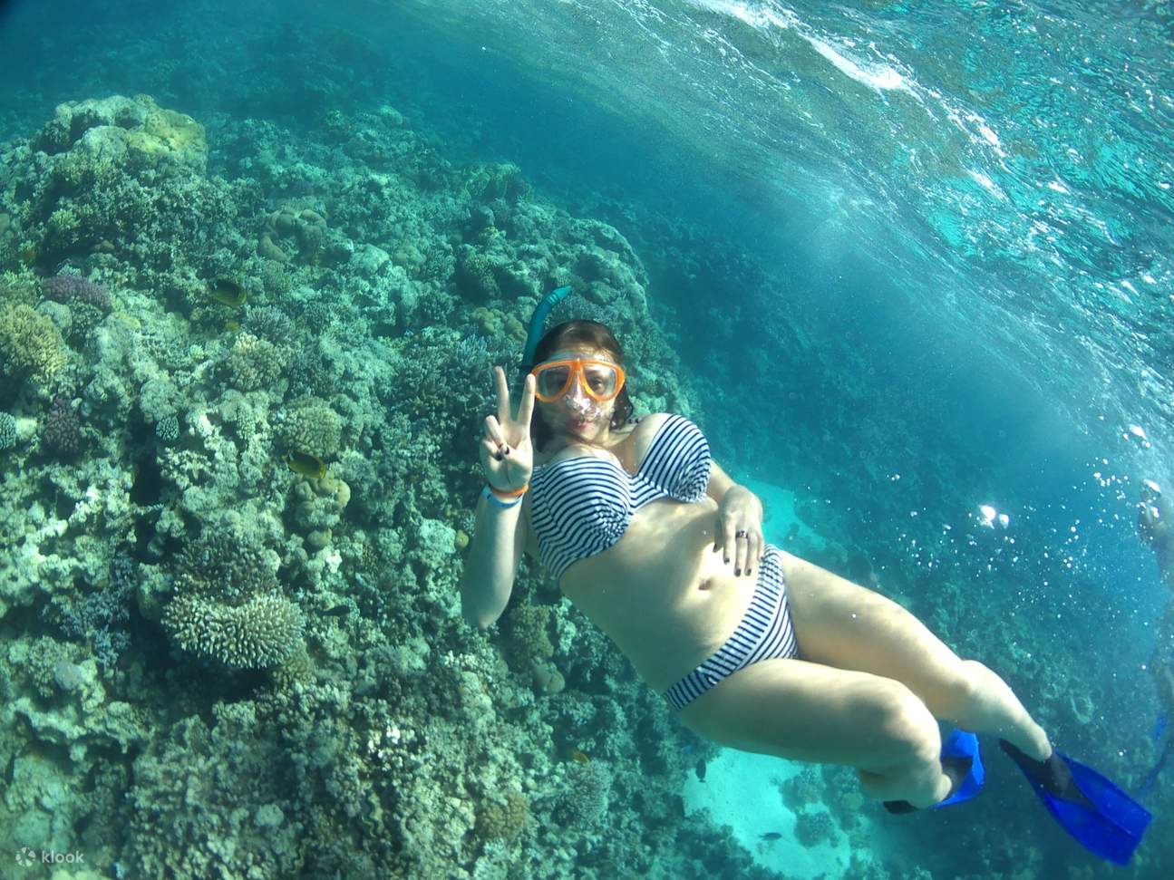 Excursión de esnórquel y almuerzo en Marsa Mubarak con traslado – Marsa Alam