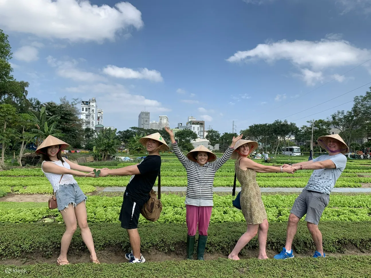 岘港的有机花园