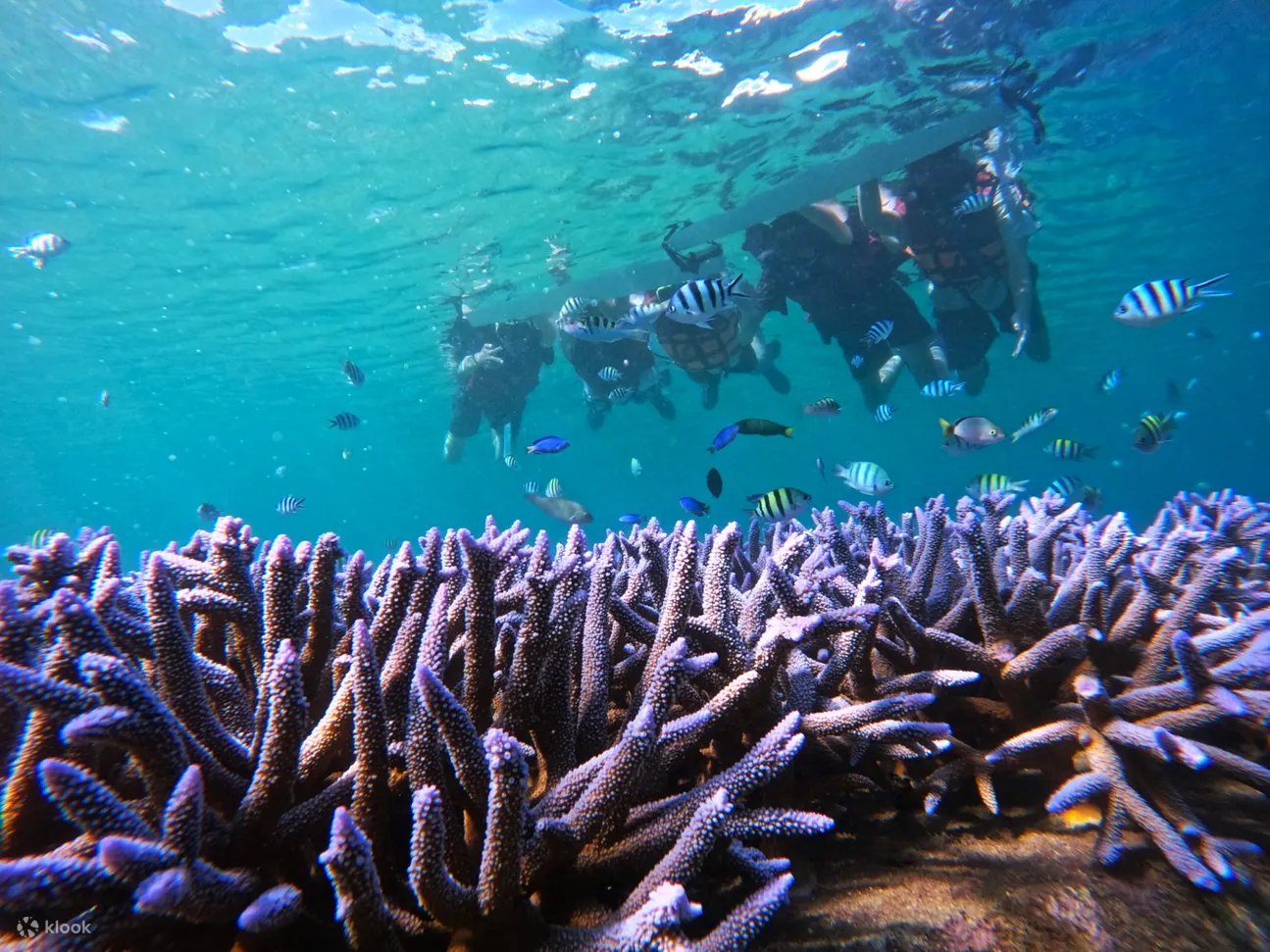 澎湖浮潜: 乐福海洋海底邮筒浮潜・SUP体验