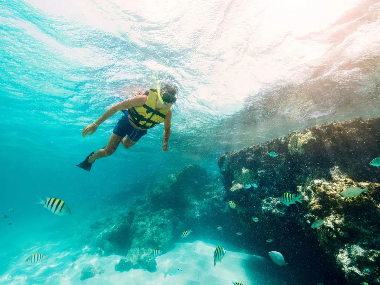 女人岛Garrafon公园门票（含交通 & 午餐）
