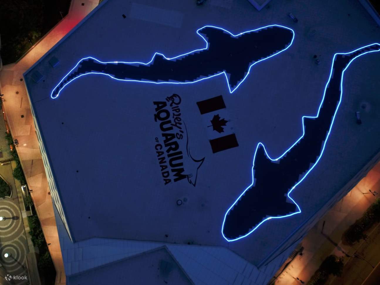 Ripley's Aquarium of Canada: Tiburones al caer la noche