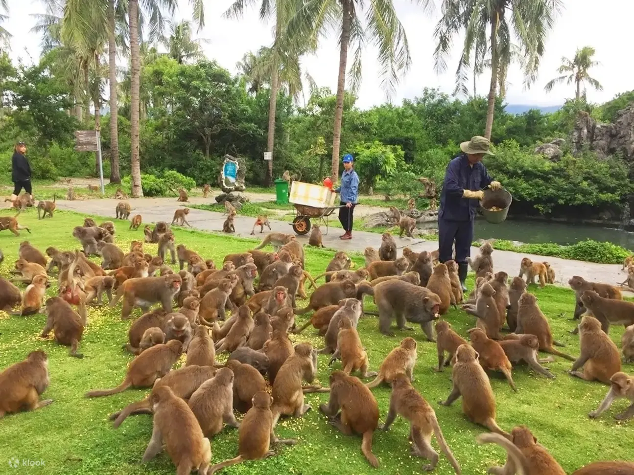 Monkey Island Ticket in Nha Trang