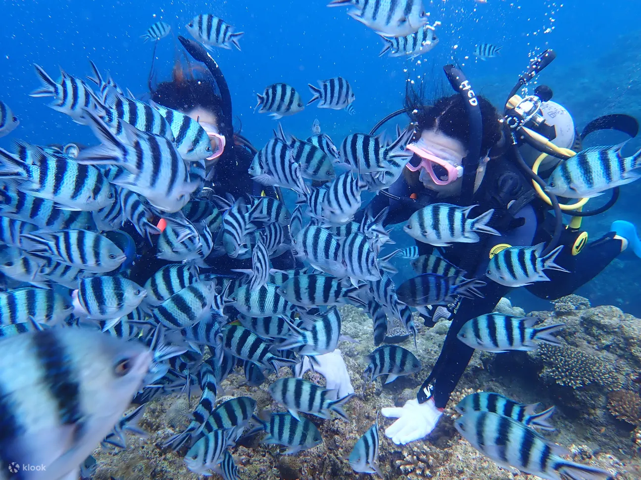 海底世界